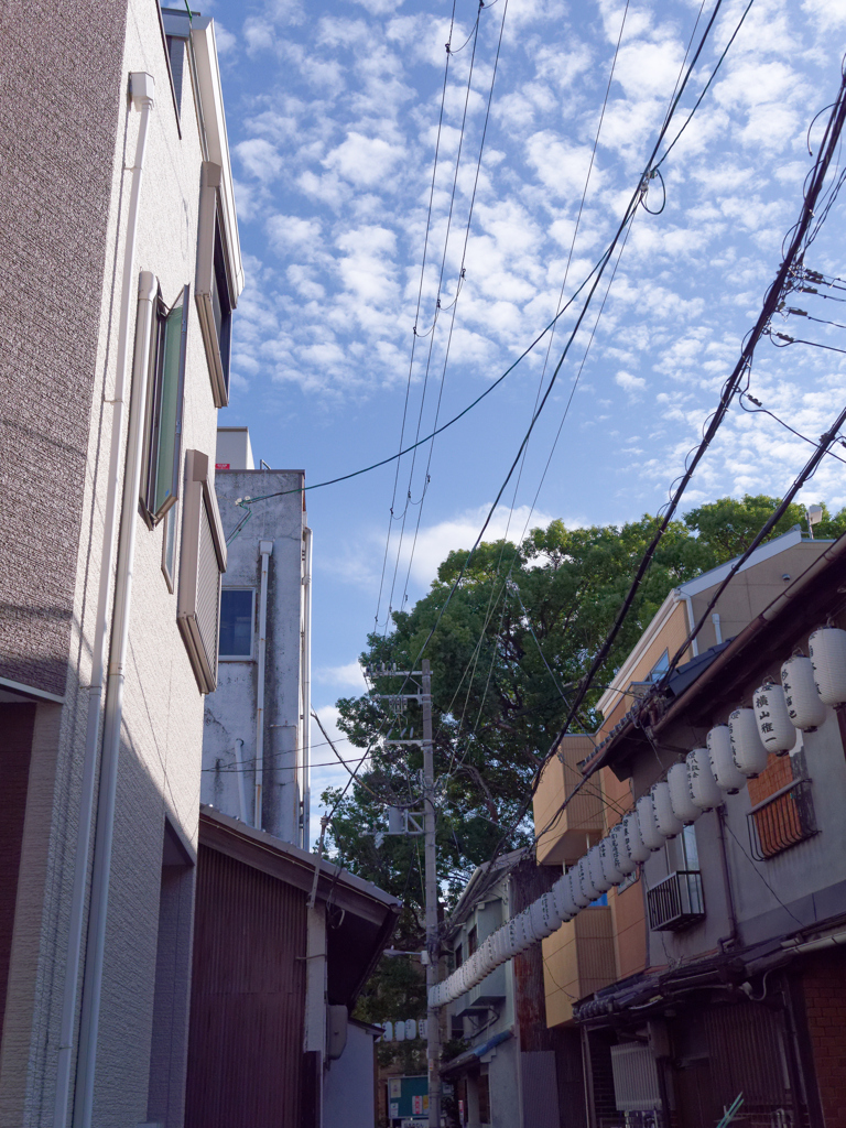 P1060889_DxO