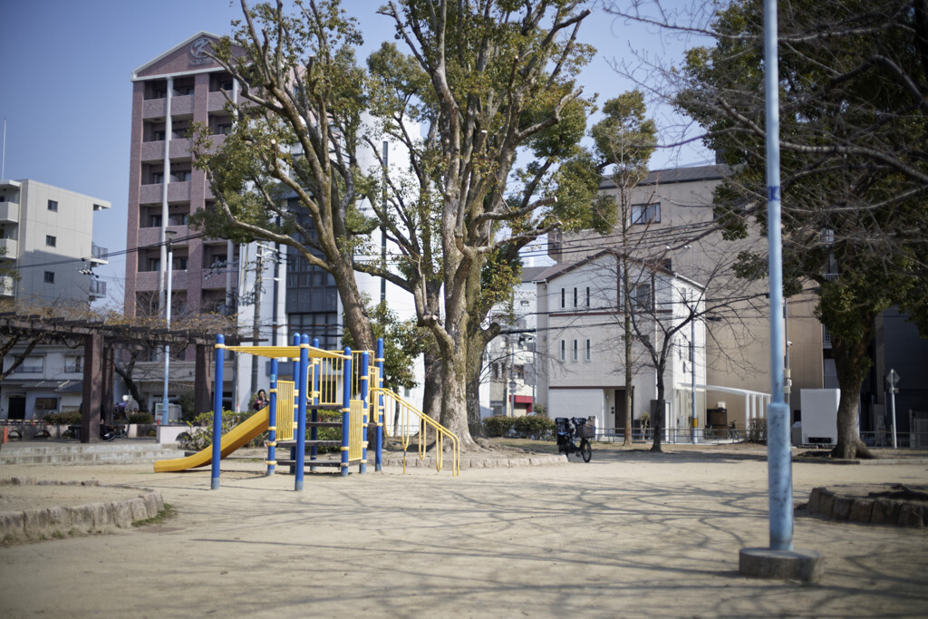 _7R32188_DxO
