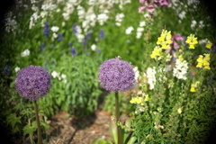 DSC00941
