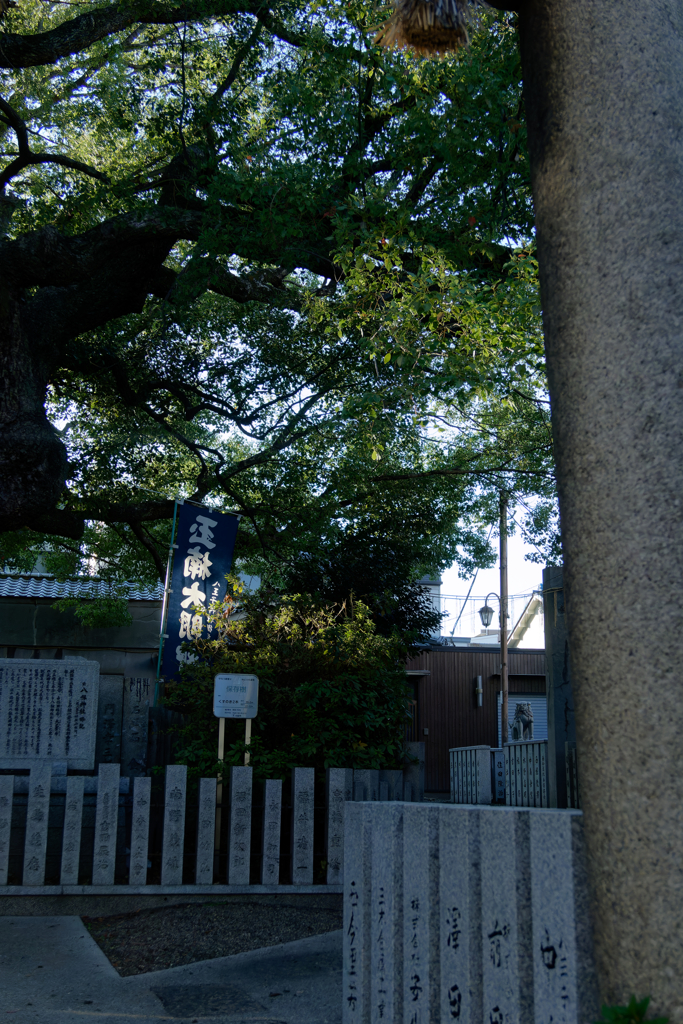 P1050024_DxO