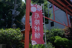 A7C09921_DxO