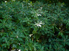 P1060498_DxO