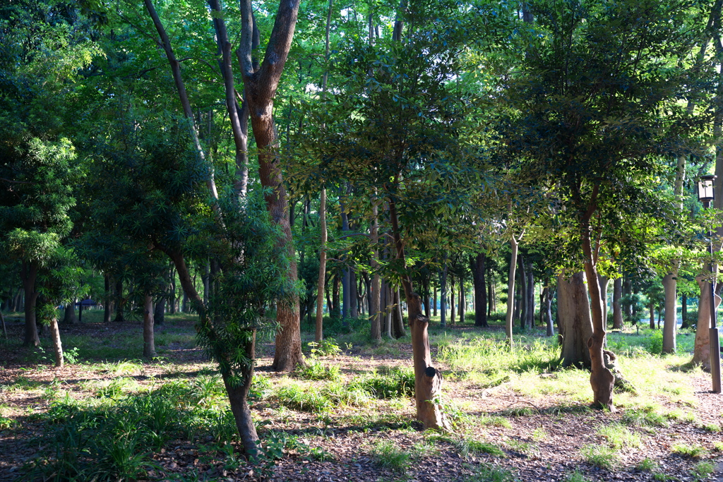 DSC01010