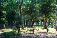 DSC01010