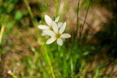 DSC02114_1