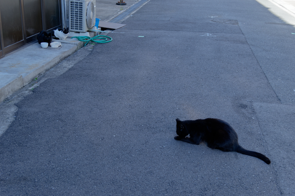 P1050107_DxO