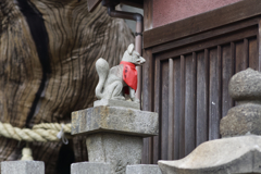 _DSC2644_DxO