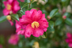 A7C08546 1