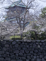 _1090471_DxO