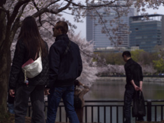 _G9P4478_DxO