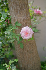 A7C09692_DxO
