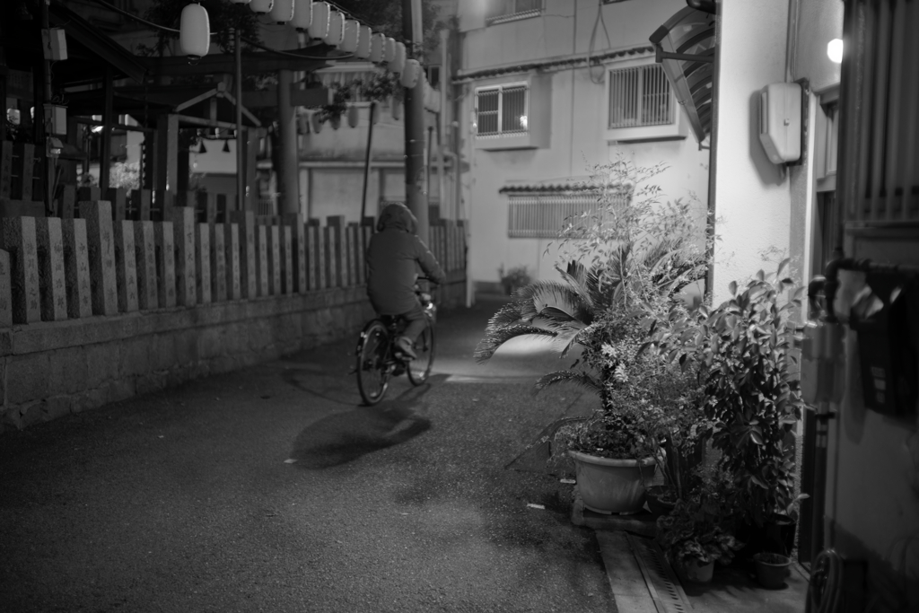 _A7C3749_DxO