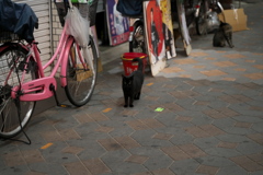 DSC01916