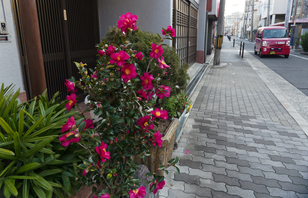 P1080715_DxO_1