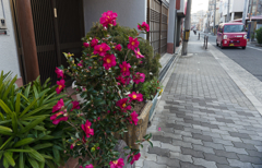 P1080715_DxO_1
