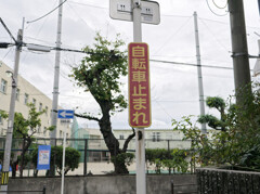 _1050608_DxO