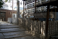 A7C09557_DxO