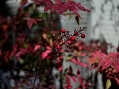 P1051055
