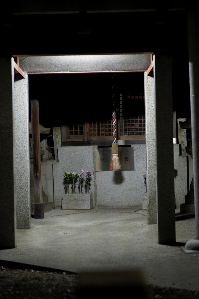 _A7C3926_DxO