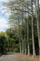 7R308938_DxO