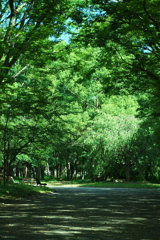 DSC02132_1