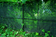 DSC02089