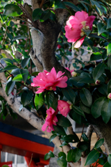 P1050176_DxO