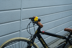 DSC01110_DxO