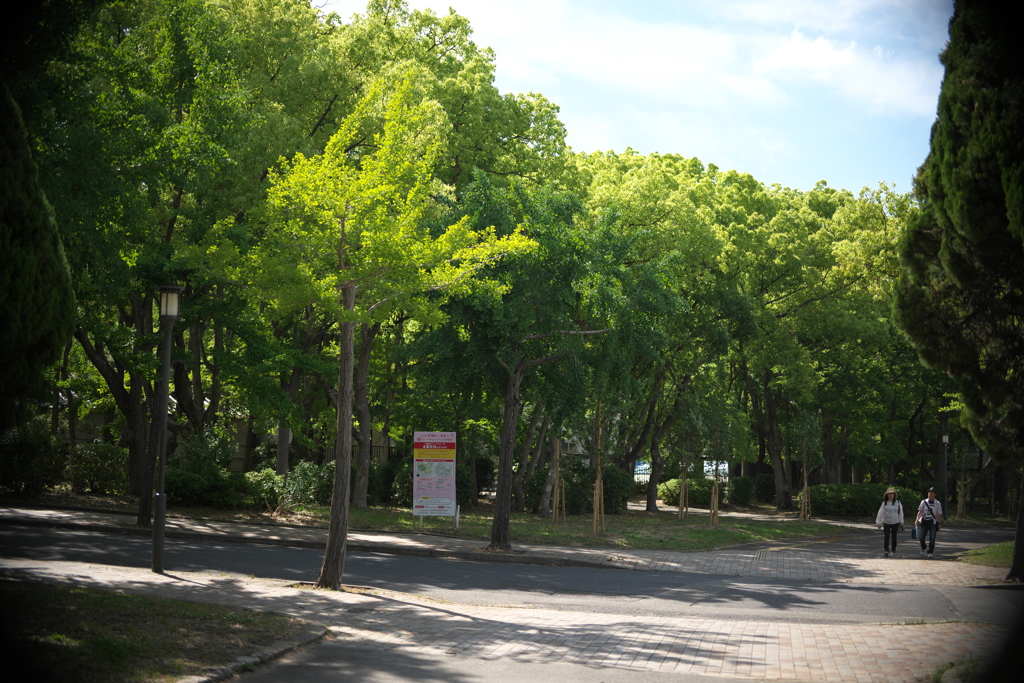 DSC00887