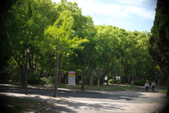 DSC00887