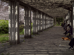 _G9P4468_DxO