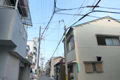 P1020005