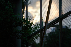 DSC06344