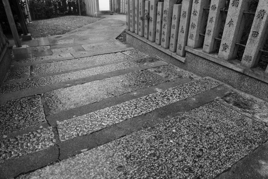 _1010467_DxO