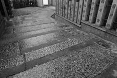 _1010467_DxO