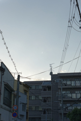 _1000773_DxO