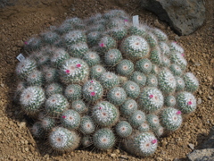 P1082650