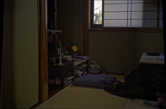 _1036665_DxO