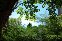 P1079505