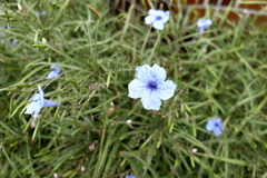 P1020031