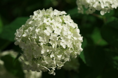 DSC01328