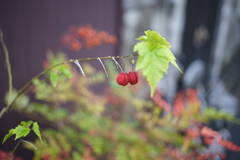 DSC00025