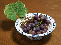 P1082137