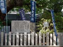 P1020261_DxO