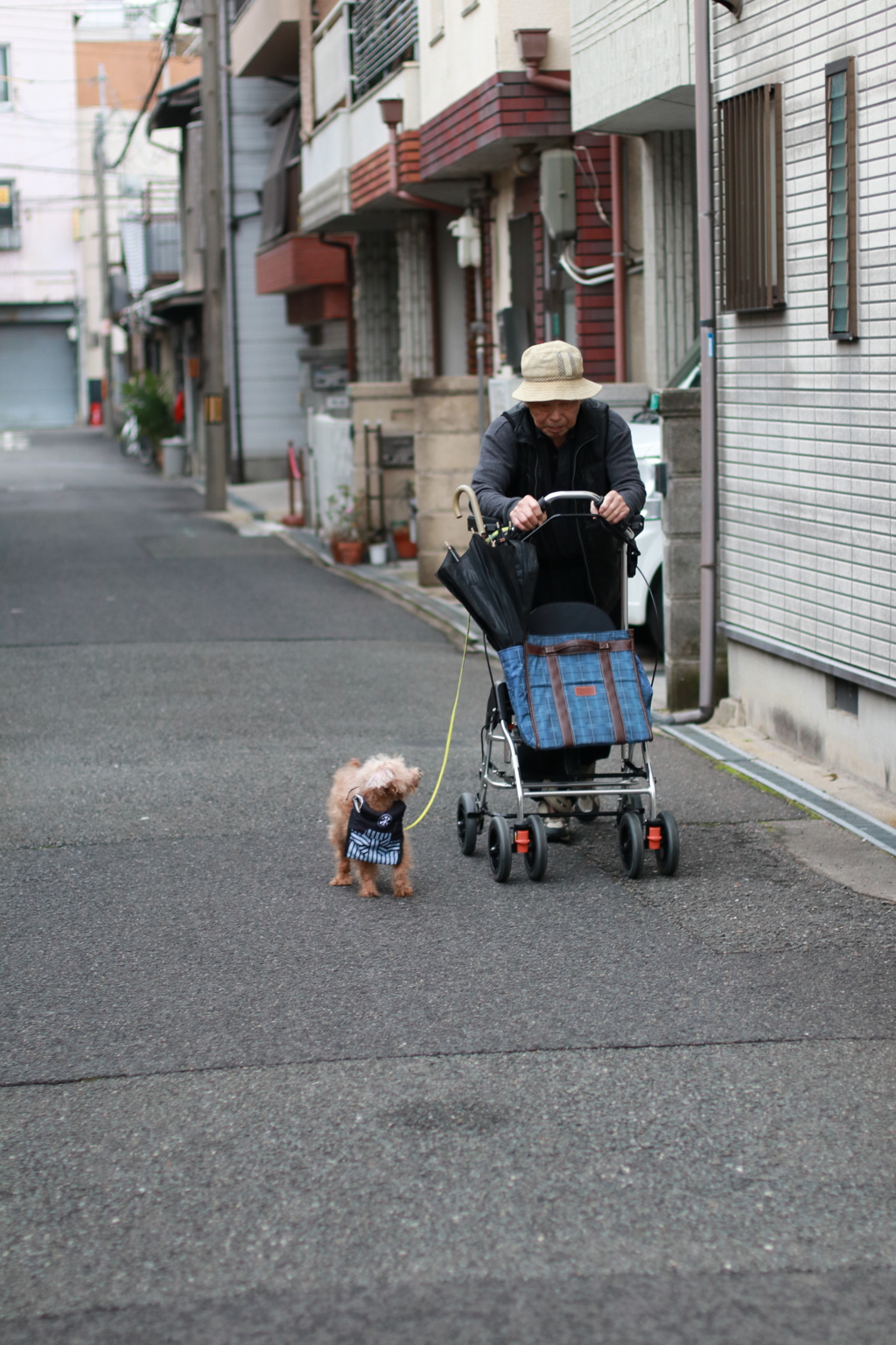 父85歳とのん（トイ　メス11歳）