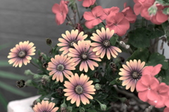 P1079536