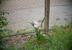 DSC02404