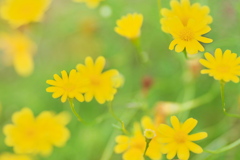 DSC01631