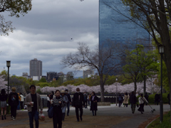 _G9P4685_DxO