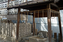 A7C09556_DxO